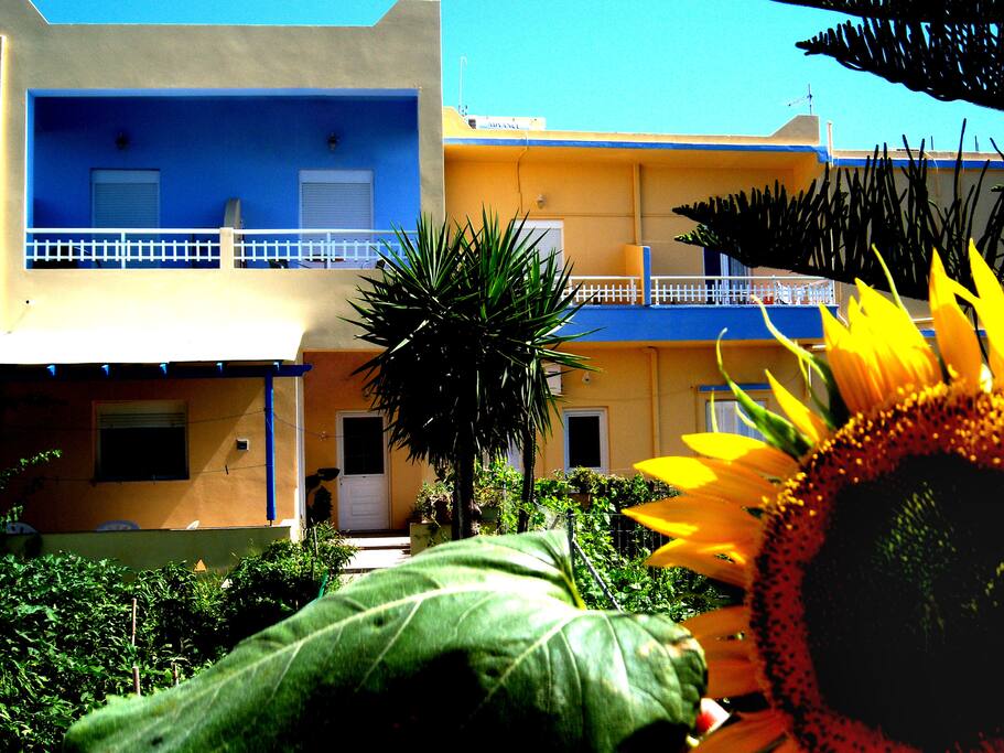 Hotel exterior