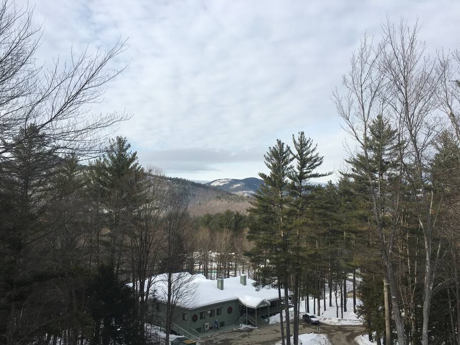 View from the back deck