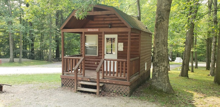 8 Best Airbnb Tiny Houses In Pittsburgh, Pennsylvania - Updated 2025 ...