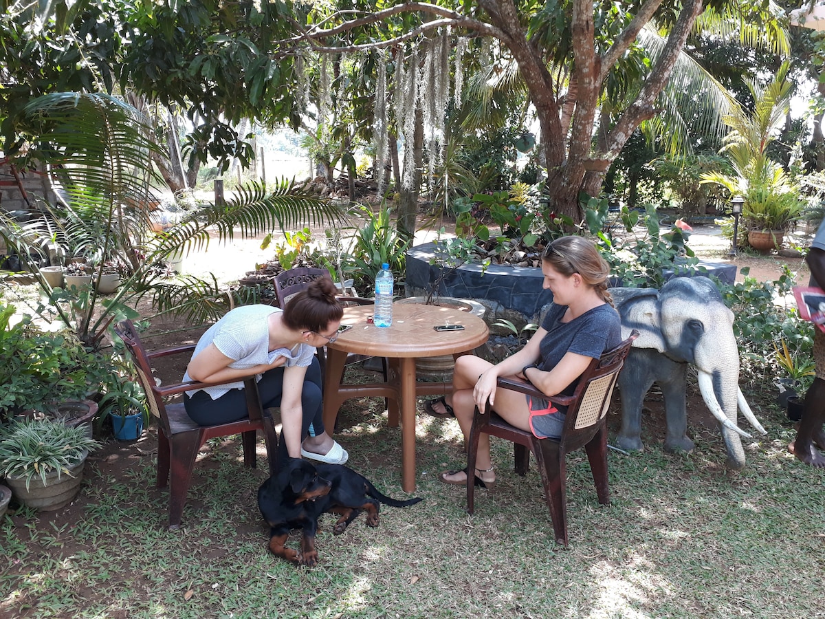 A shaded outdoor area features two people seated at a small wooden table. A dog lies at their feet, while lush greenery surrounds the space, creating a serene atmosphere. Decorative elephant statues are visible nearby, enhancing the garden's charm.