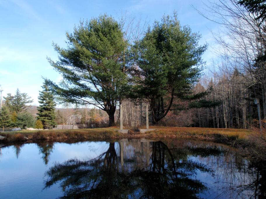 The Pond on our property