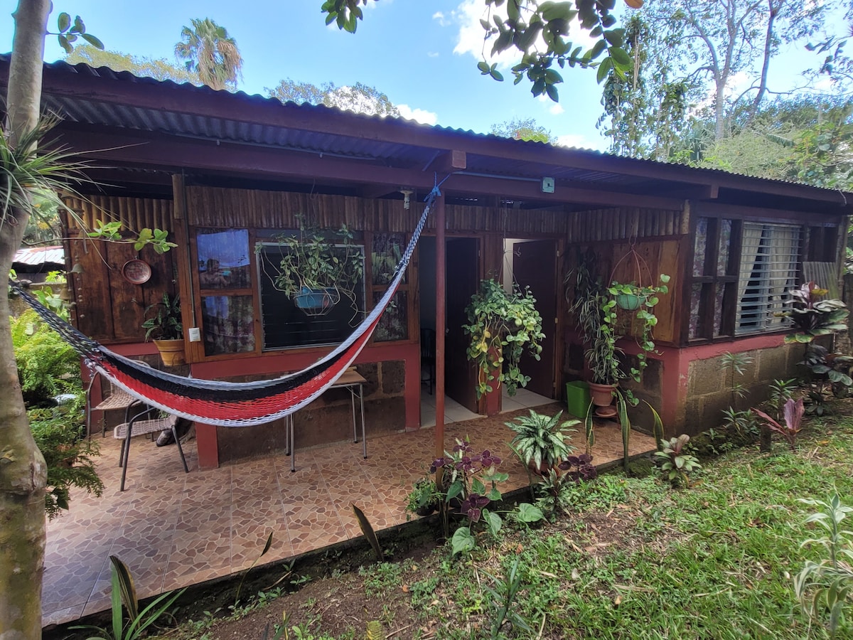 A charming exterior of a cozy bungalow is surrounded by lush greenery. A colorful hammock is suspended in front, while potted plants adorn the entrance. Large windows allow natural light to fill the interior, creating a welcoming atmosphere.