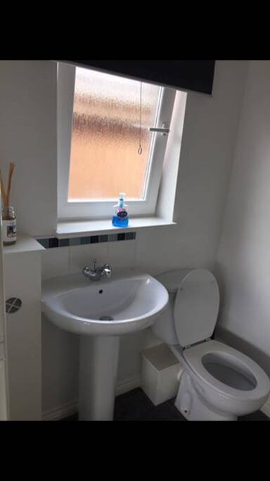 Ensuite toilet & sink