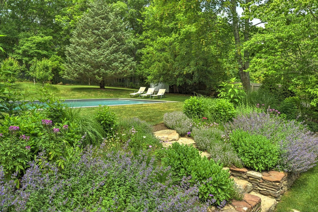 newly landscaped with pear and apple trees