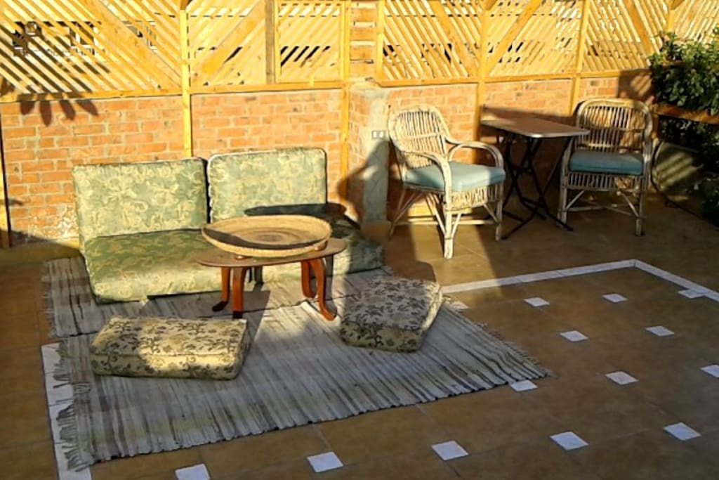 morning Sun on the roof-garden!