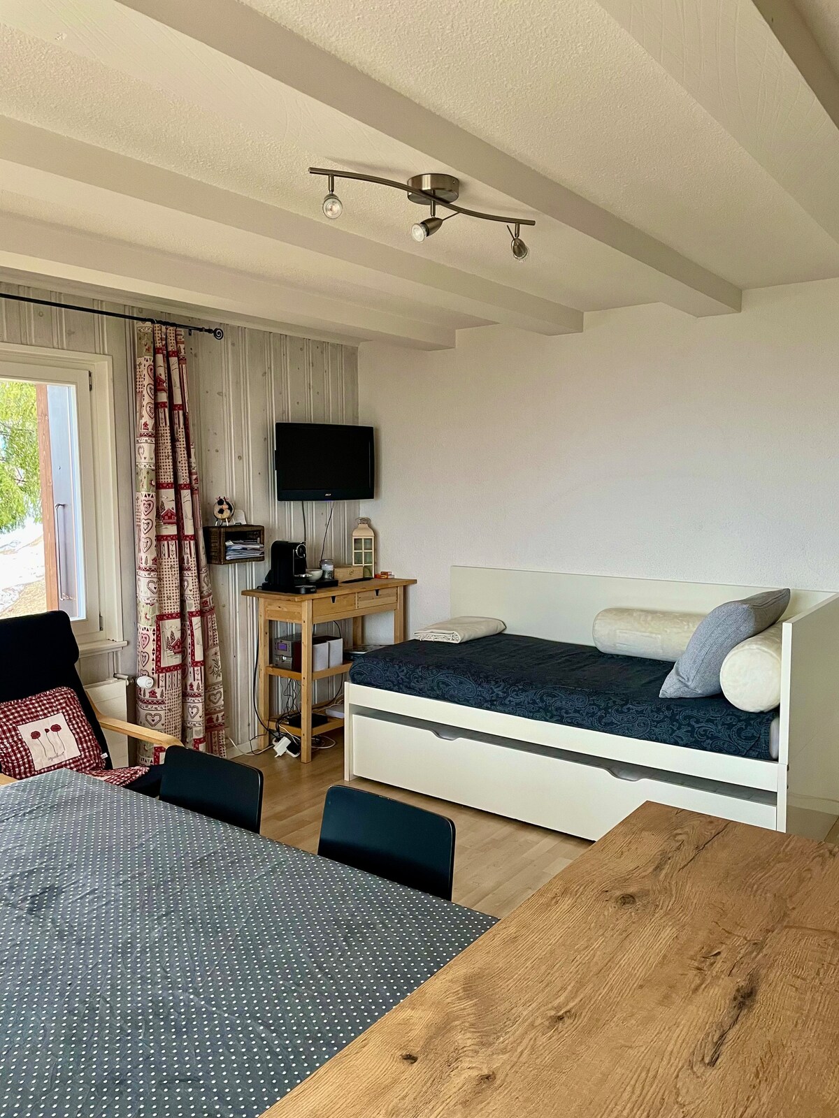 Дневна соба – страна со телевизор (подот е обновен – сега има плочки)