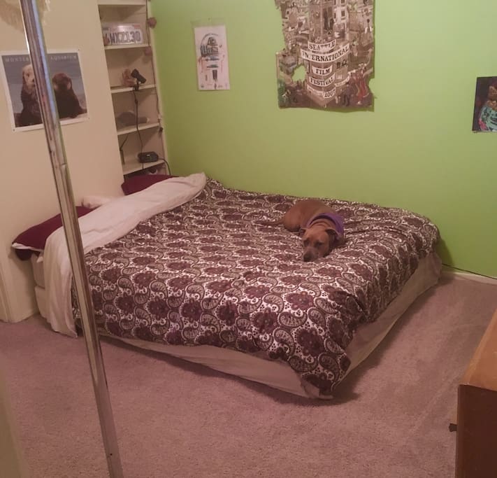 Bedroom with queen bed (dog not included!)