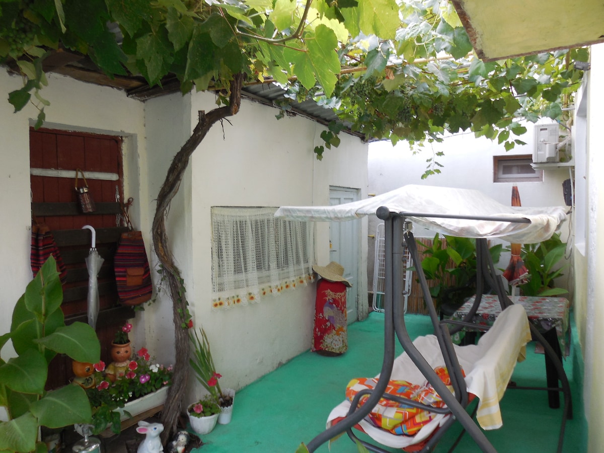 A shaded courtyard is filled with greenery and decorative plants, creating a serene outdoor space. A swing seat is positioned beneath a leafy trellis, while colorful potted flowers and a decorated vase add charm to the area, providing an inviting environment for relaxation.