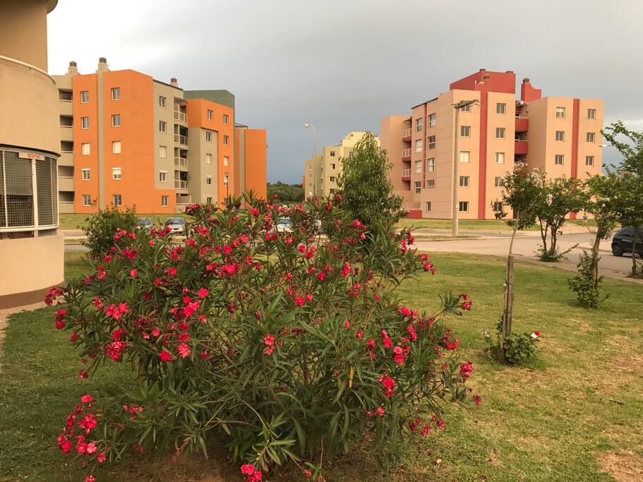 El jardin