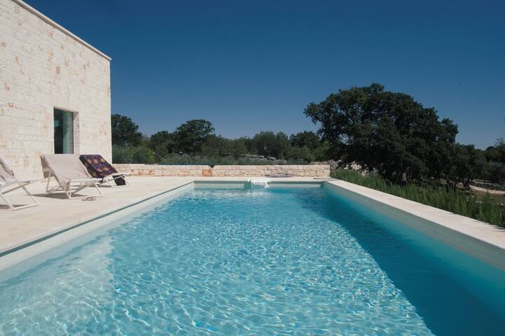 Il Ramarro (The Green Lizard)