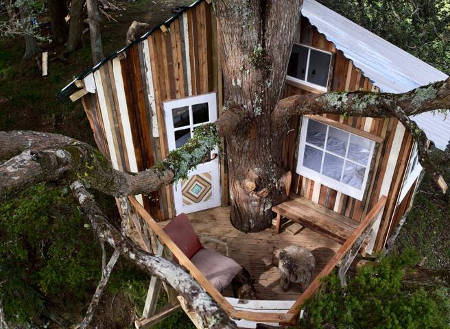 lovely treehouse situated on an adventure-filled farm