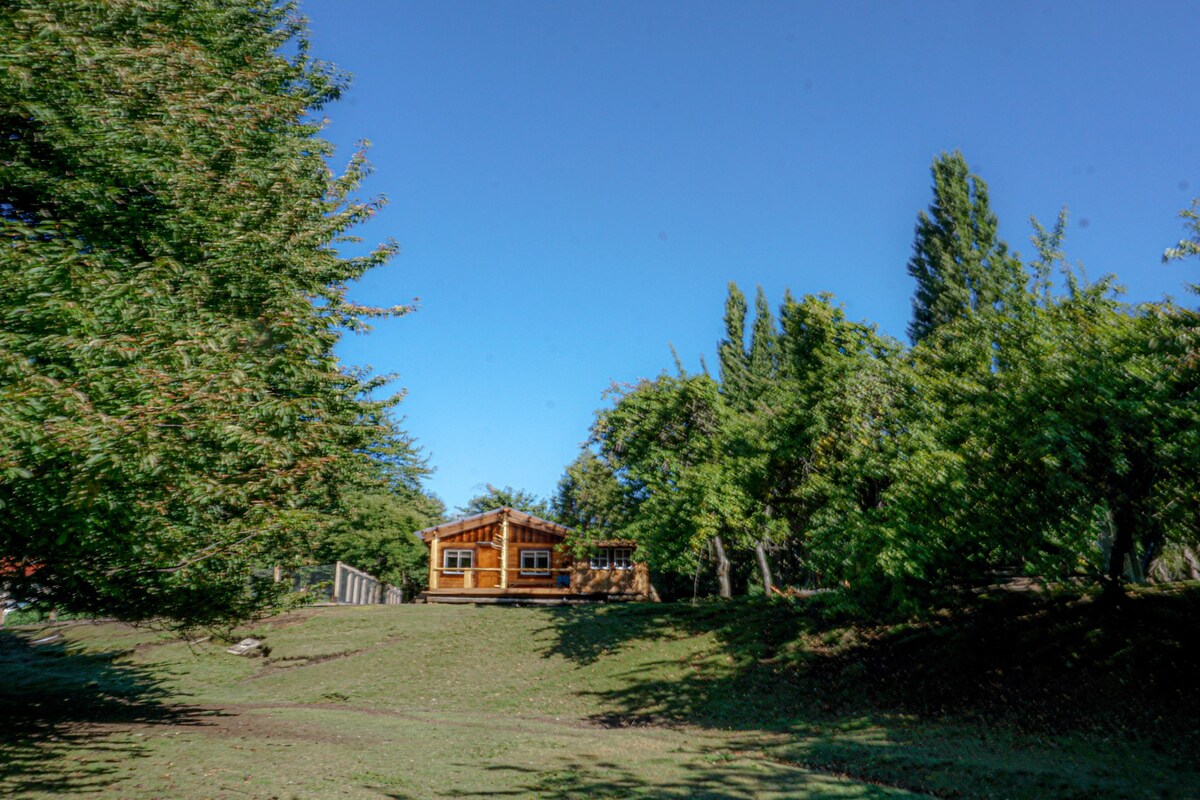 A rustic cabin is positioned amidst expansive green areas, surrounded by various trees. The clear blue sky complements the wooden structure, which features large windows and a welcoming porch. Natural light enhances the scenery, creating a serene outdoor setting.