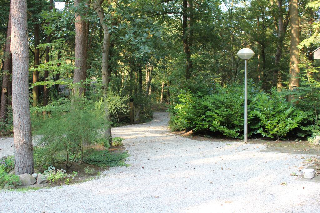 De toegangsweg tot het huis en rechts staat een schuurtje waar u eventueel de fietsen kunt stallen