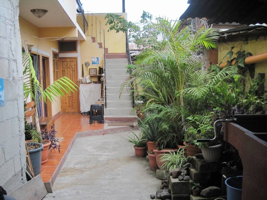 Patio view from the entryway