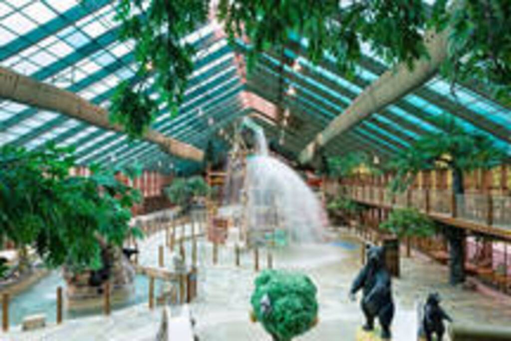 Indoor Water Park
Free Tickets with rental