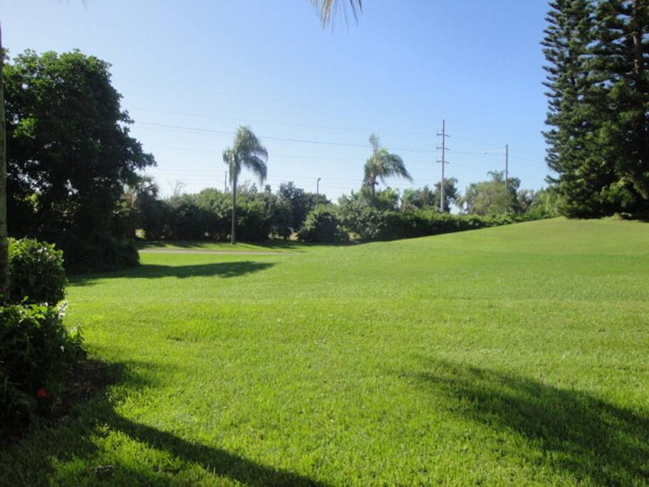 View from the Private Patio