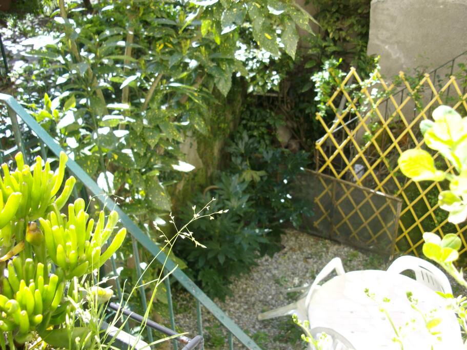 cortile