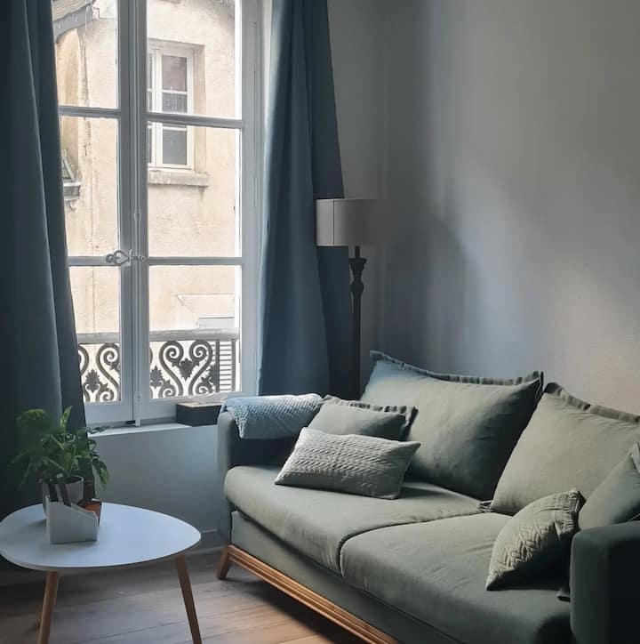 Studio 4 Personnes Au Pied Du Château De Blois. - Blois