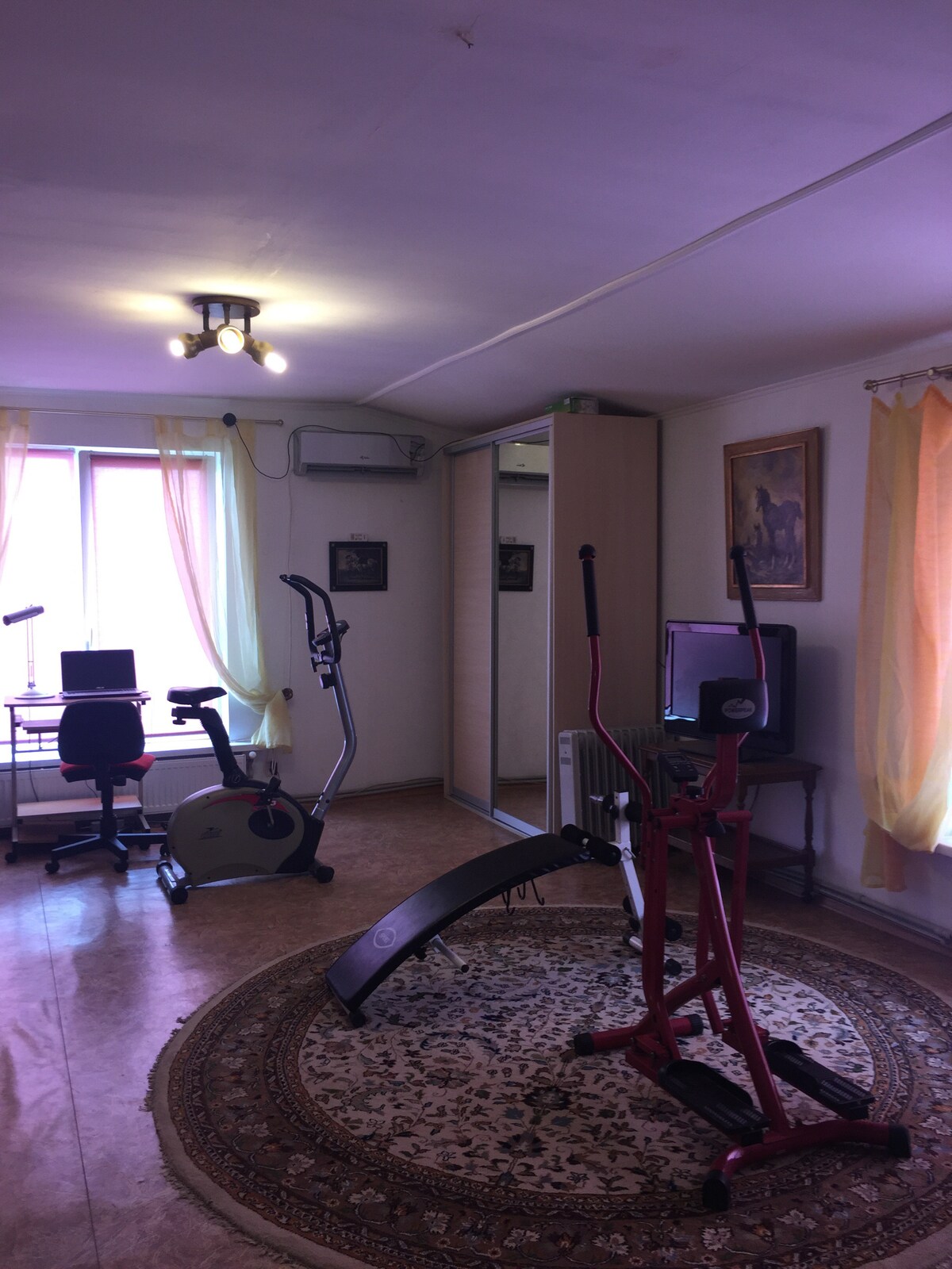 A multi-purpose room features exercise equipment, including an elliptical machine and a stationary bike. A large mirror reflects the natural light from the window, enhancing the space. A small desk and chair are positioned near the wall, with a TV visible on a stand.