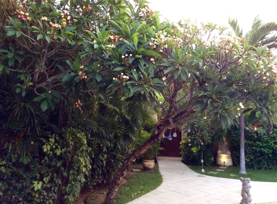 Garden shot
