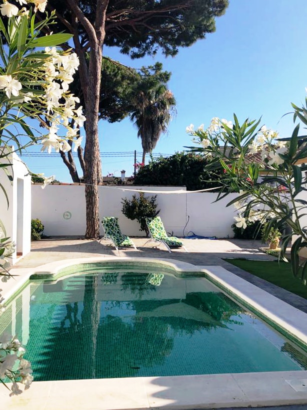 A serene pool area is enclosed by white walls and lush greenery. Two lounge chairs with patterned cushions are positioned beside the shimmering water. Tall trees provide shade, while vibrant flowers add color to the peaceful outdoor setting.