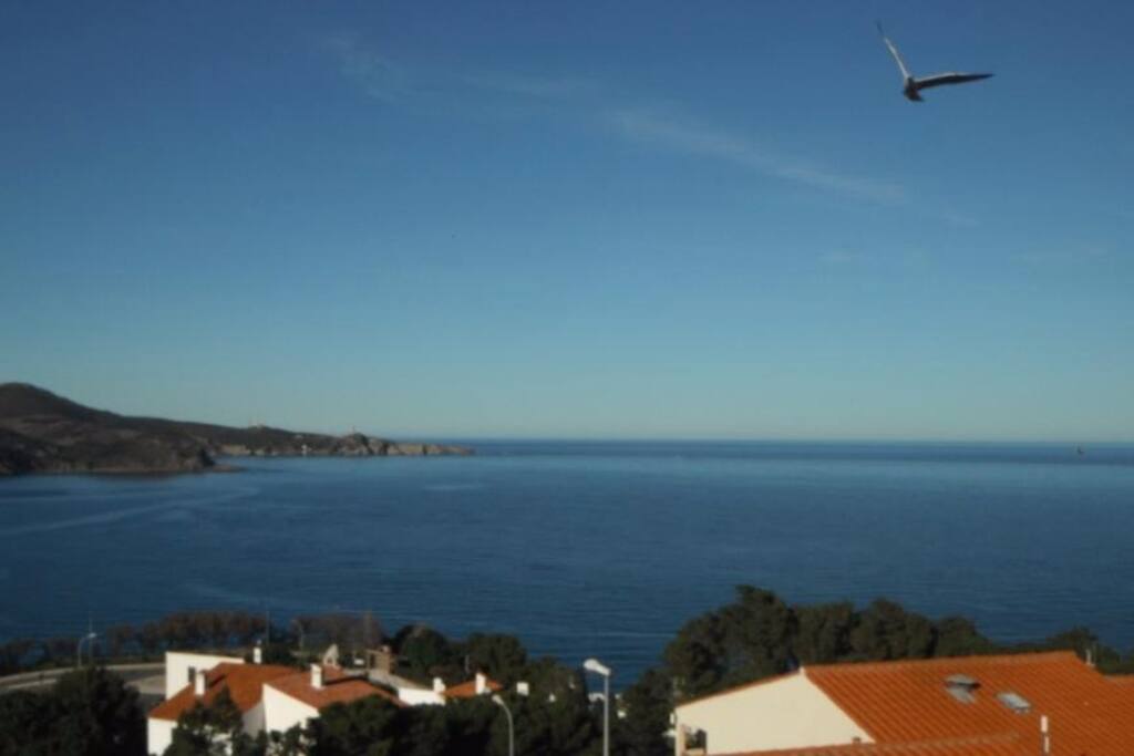 Vue depuis la terrasse un peu sur la droite - en retrait de la route