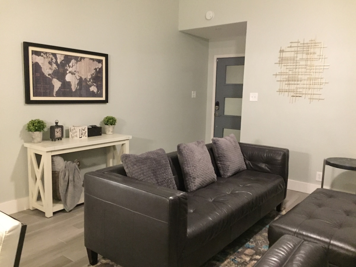 Successful Airbnb property: GREYHOUSE-central SA/near airport! Modern & cozy. in San Antonio International Airport Vicinity