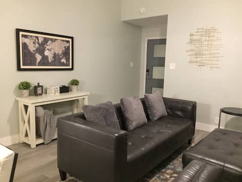 Successful Airbnb property: GREYHOUSE-central SA/near airport! Modern & cozy. in San Antonio International Airport Vicinity