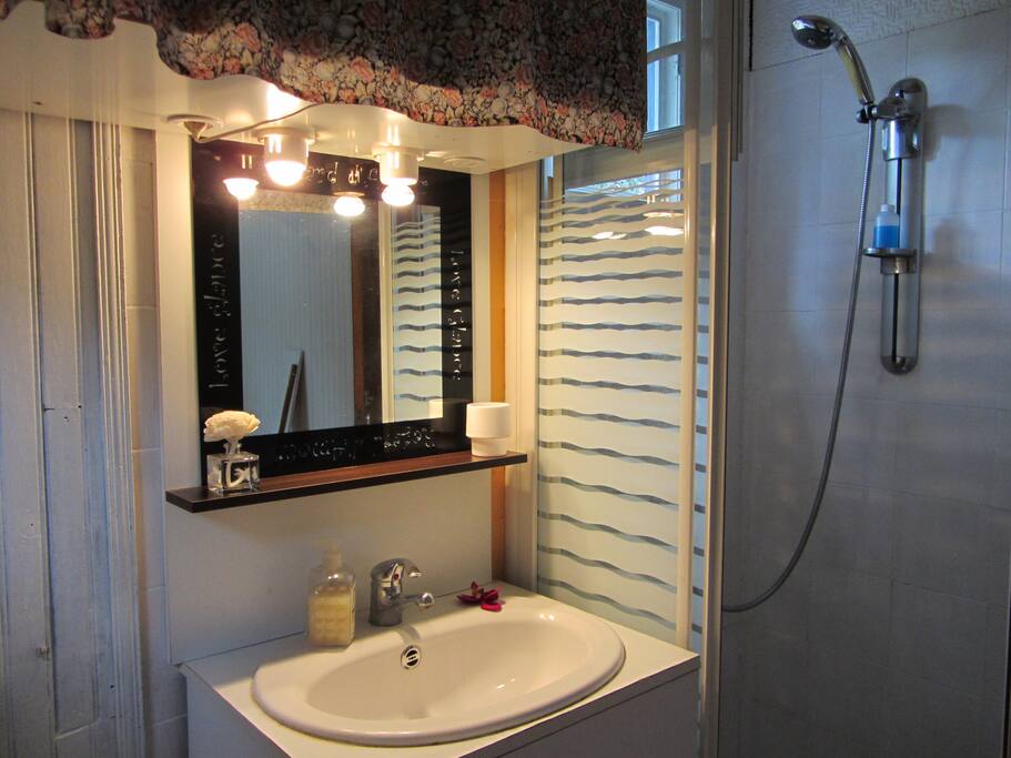 salle de bain avec la douche