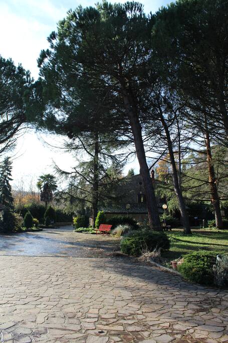 Giardino