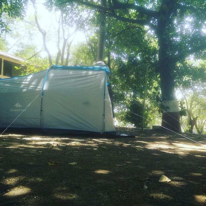 Tent's