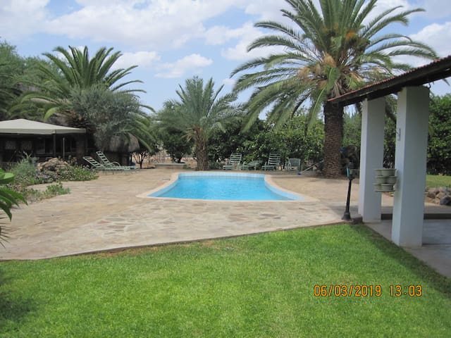 Vacation Rentals Homes Experiences Places Airbnb