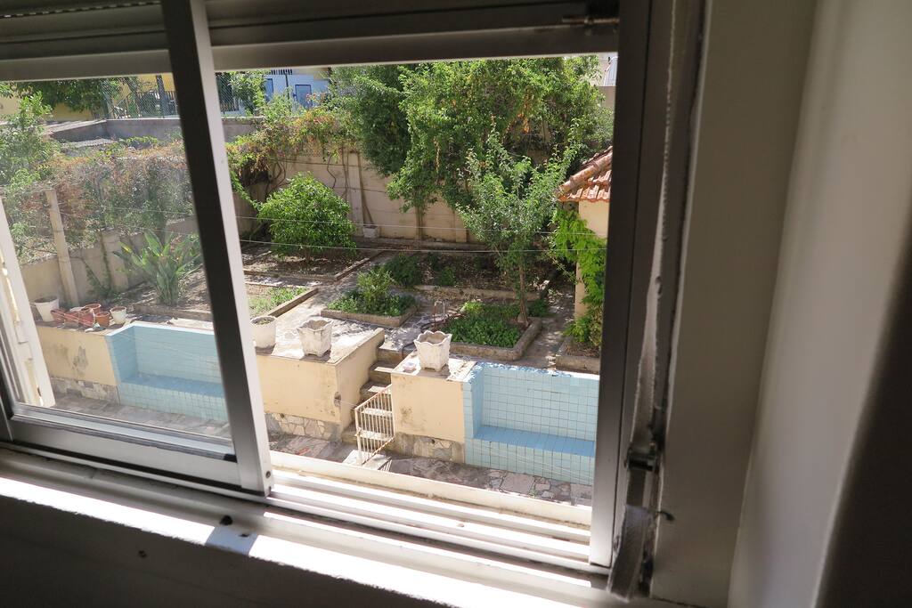the view to our garden.
