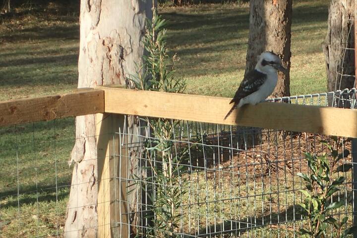 Kookaburra Cottage