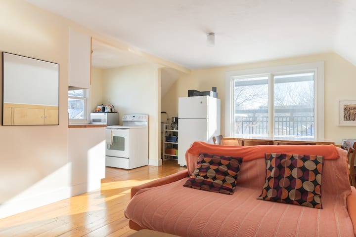 Bright Convenient Apt Harvard / MIT