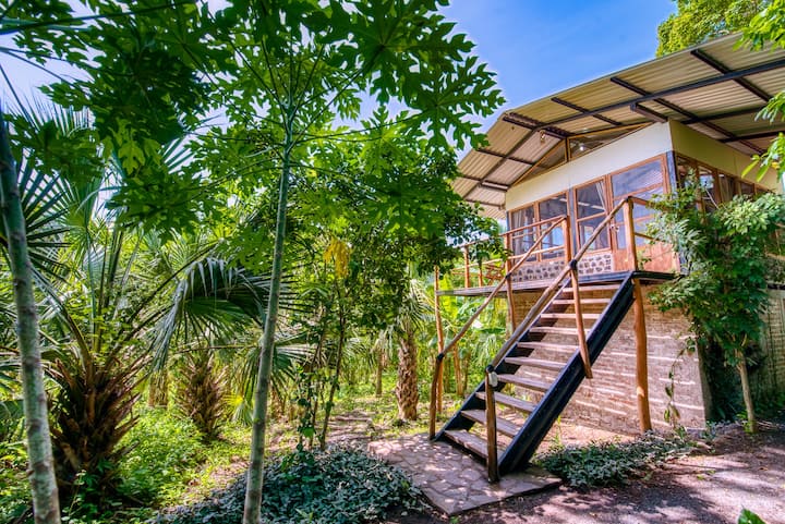 Selvista: Casa Chilamate canopy top jungle studio - Magdalena, | Airbnb