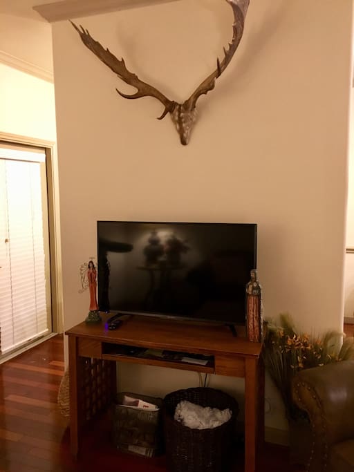 Large Smart TV