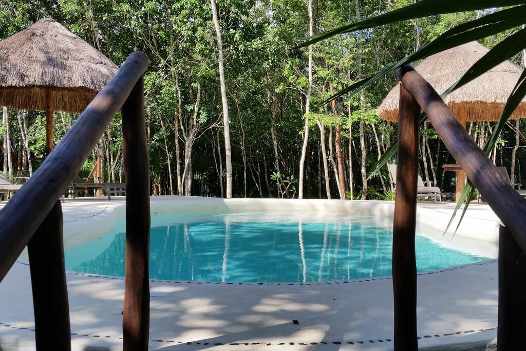 Pool - Piscine - Alberca