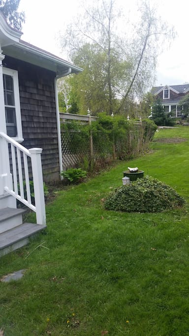 This view shows the cottage steps and the rose bushes just about ready to bloom on their trellis.