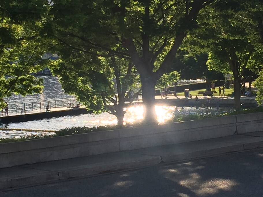 Swimming hole across the street.