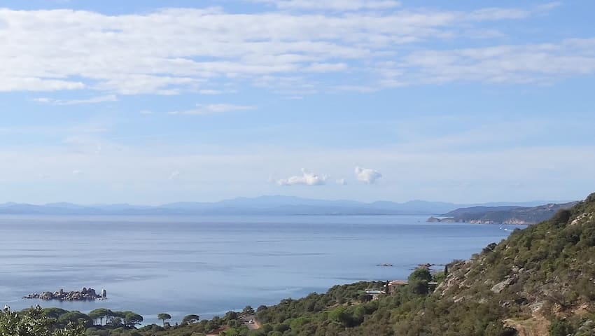 Airbnb Palombaggia Vacation Rentals Places To Stay