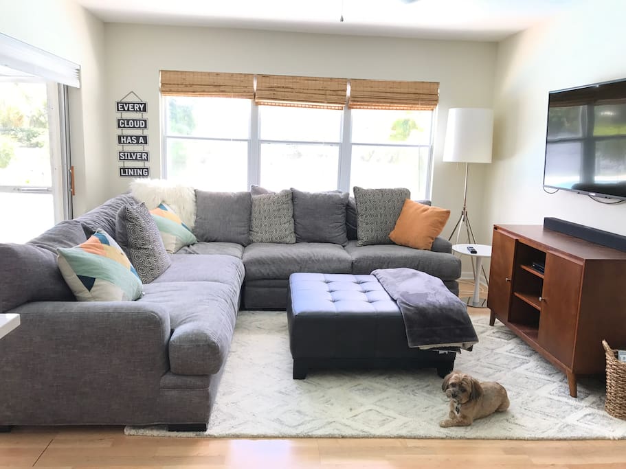Living room for TV time and netflixs -Theo also likes TV