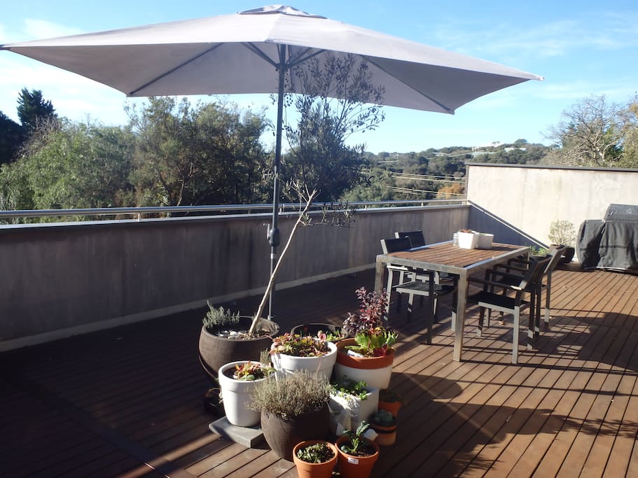 Upper deck with treetop views