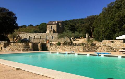 Mid-aging house with pool