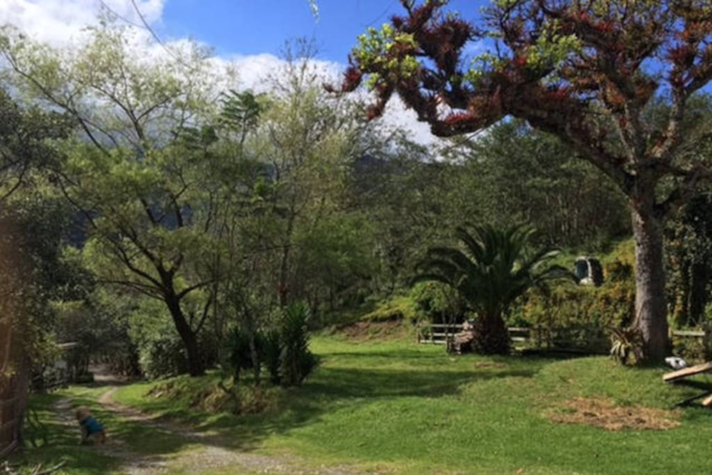 Una vista del estacionamiento y el inicio de senderos para caminatas y avistamiento de aves.
A view of the parking area and start of hiking and bird watching trails.