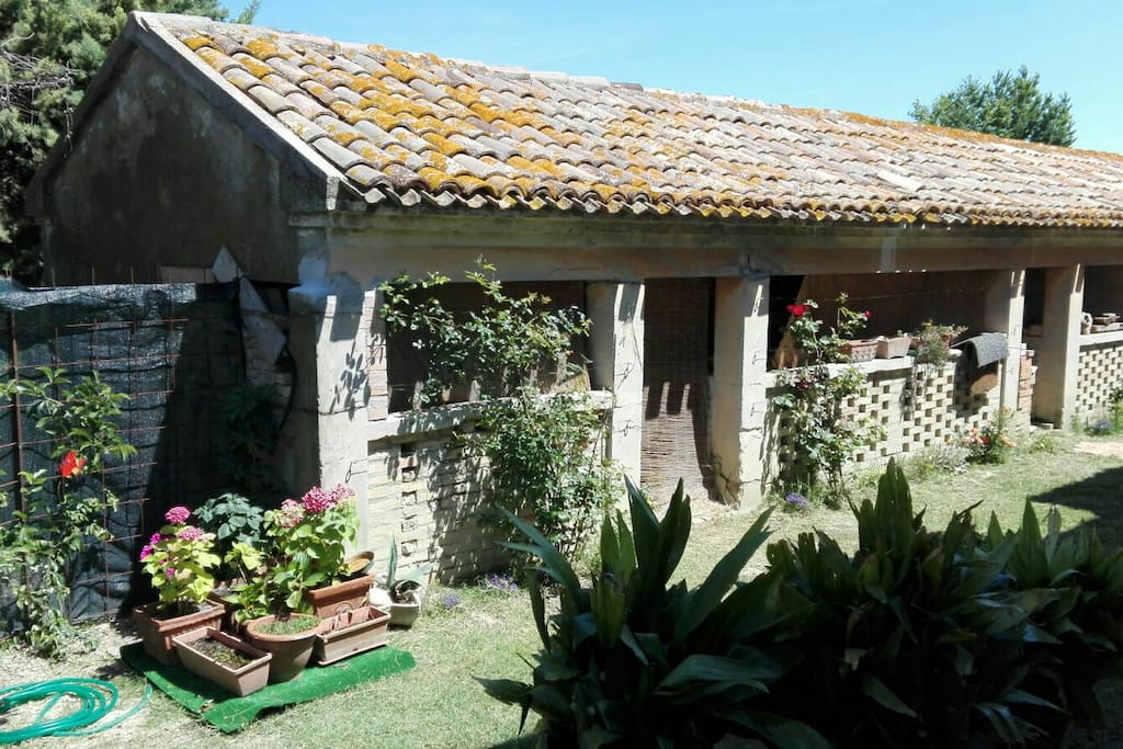 Back side garden where you can have your meals in a more private space