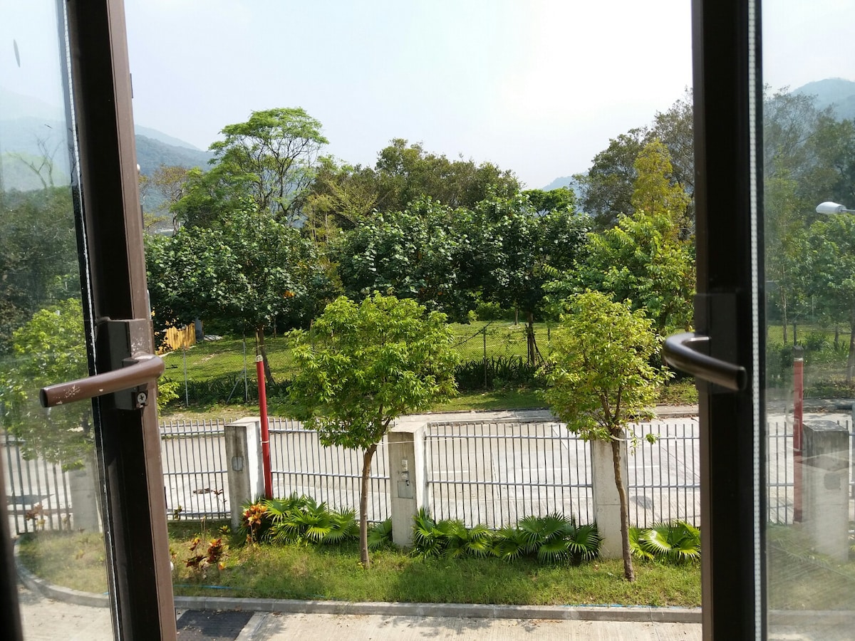 An open doorway frames a view of lush greenery and trees lining a peaceful road. The natural landscape creates a serene atmosphere, enhancing the outdoor connection felt from inside the space.