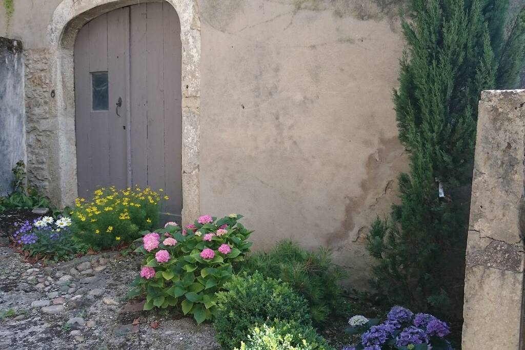 un jardin fleuri