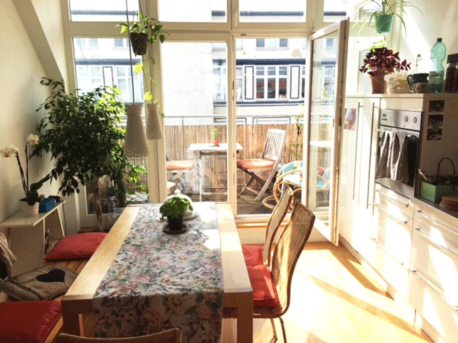 kitchen + kitchen balcony #2 + dinning area