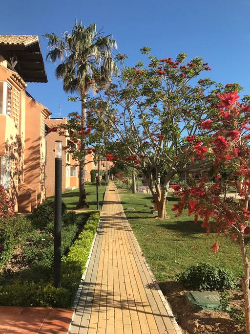 Path outside apartment